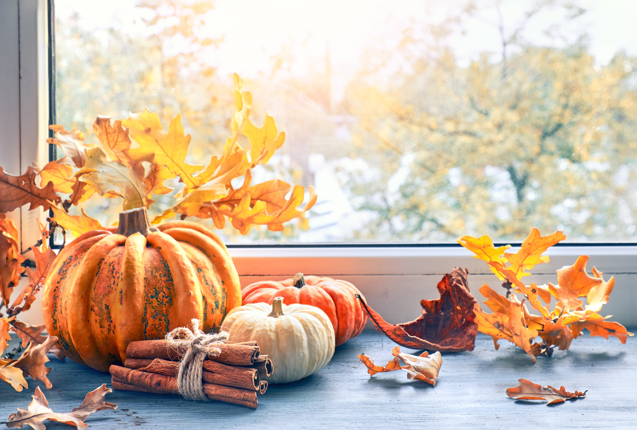 Things To Do On Thanksgiving In Los Angeles