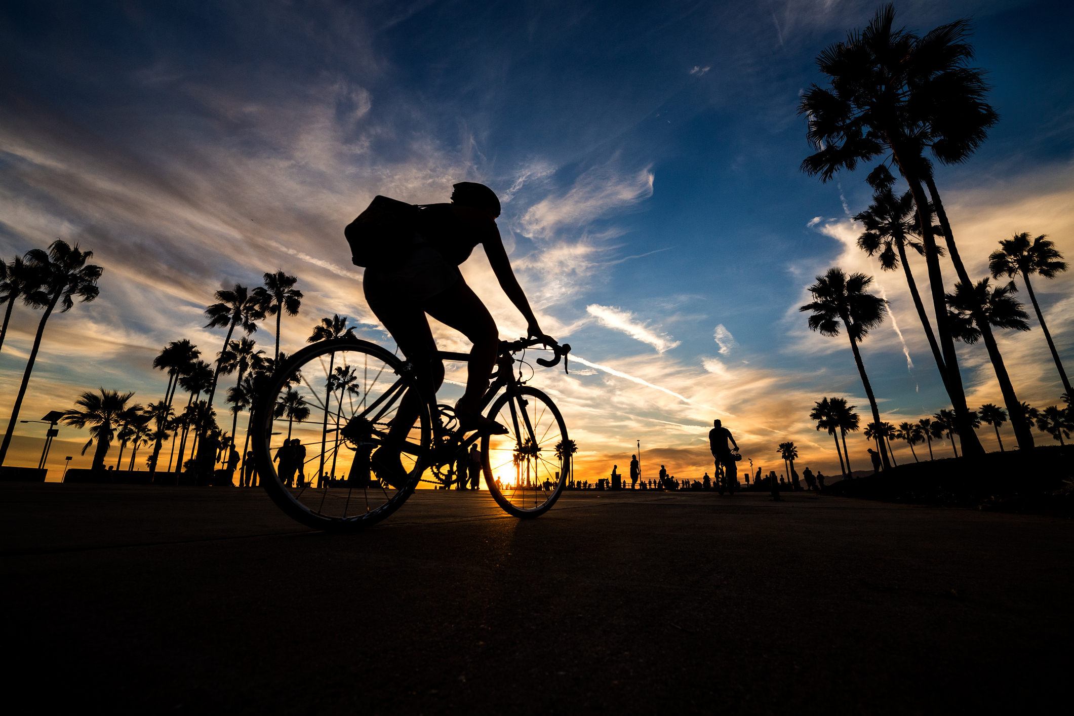 Best Bicycle Tours In Los Angeles