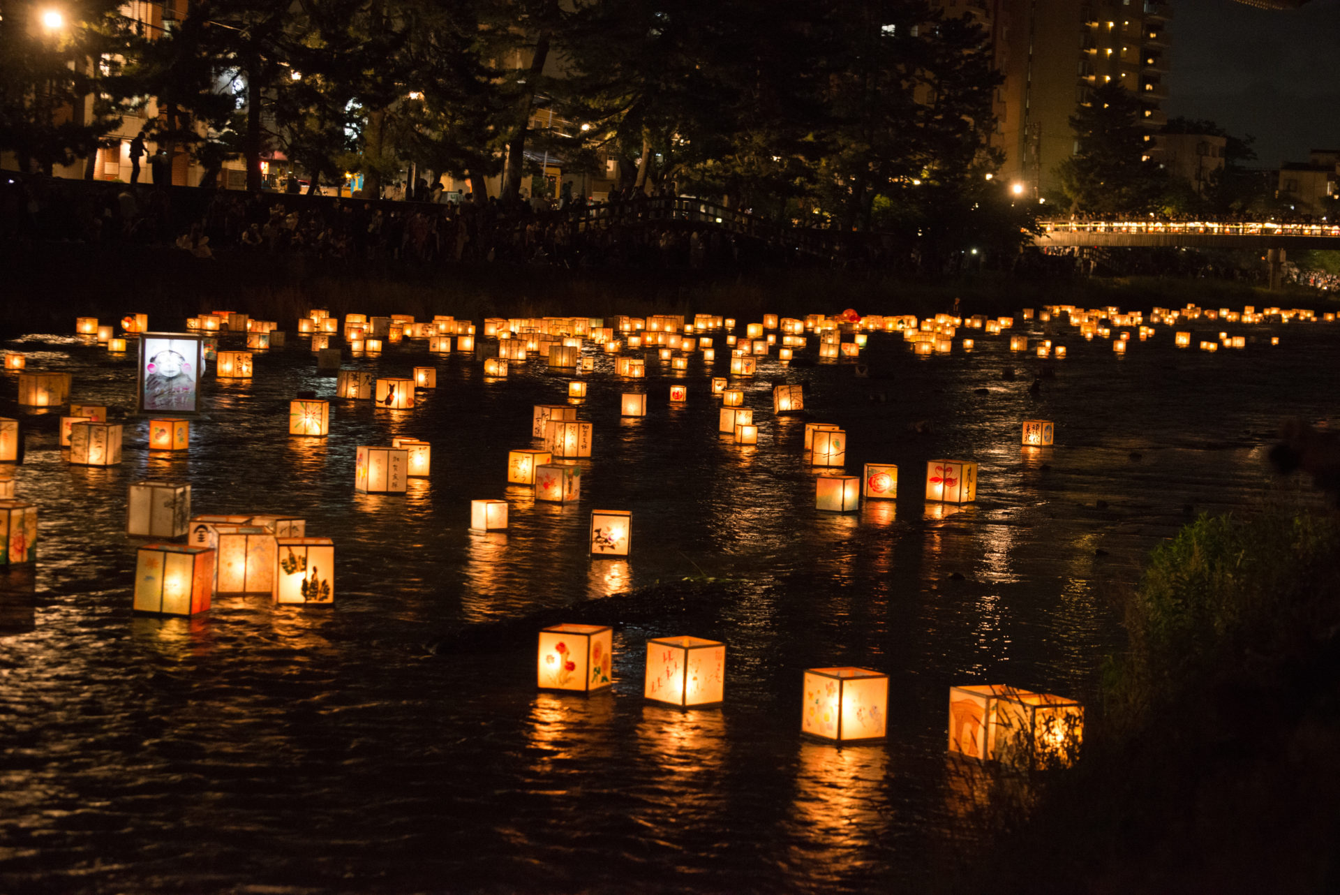 Long Beach Water Lantern Festival